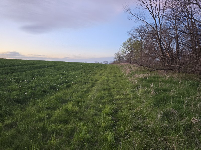 Listing photo 64